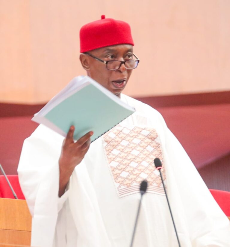 Senate passes Ned Nwoko’s bill to upgrade FCE(T), Asaba to Federal University of Technology, others