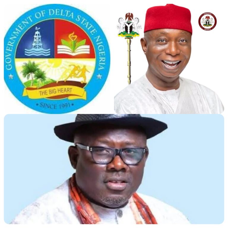 Delta @ 34: Sen Ned Nwoko applauds Gov Oborevwori’s policy framework