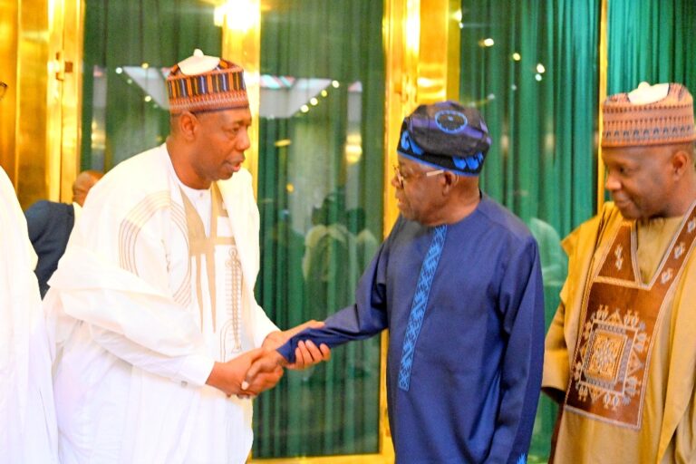 Zulum leads N/East govs to Tinubu, requests completion of 17 roads, oil exploration