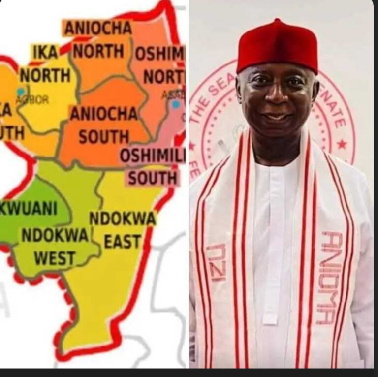 ANIOMA: HISTORY, IDENTITY, EQUITY AND THE QUEST FOR STATEHOOD, BY SENATOR NED NWOKO