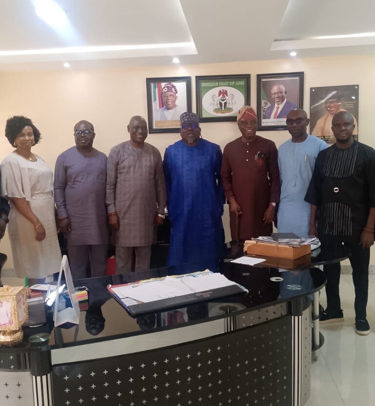 DTSG will deliver Otowhodo flyover project to specification says Izeze