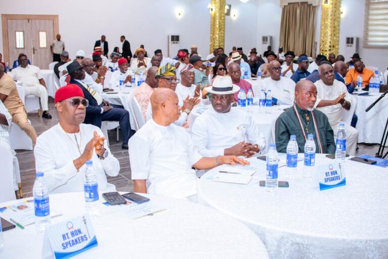 2027 election :  DELTA ASSEMBLY ADOPT  Tinubu, OBOREVWORI AS SOLE CANDIDATES