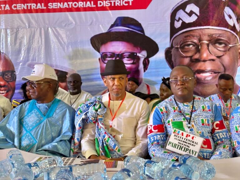 2027: Delta Central APC Stakeholders Pledge Unalloyed Loyalty To Tinubu, Oborevwori