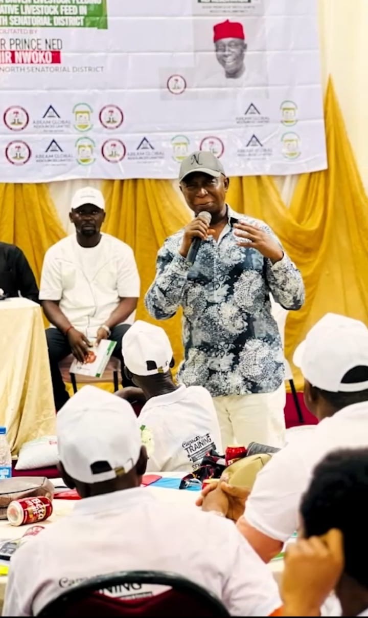 A Record of Delivery: Senator Ned Nwoko’s Projects Reshape Delta North Senatorial District